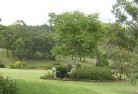 Picola Westresidential-landscaping-40.jpg; ?>
